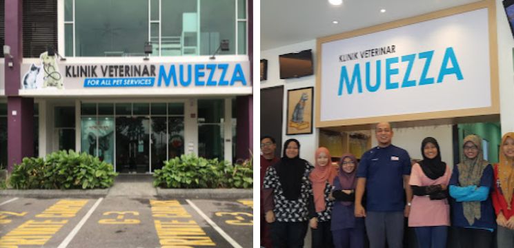 Klinik Veterinar Muezza, Gombak