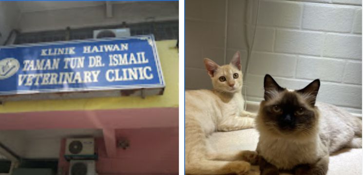 TTDI Veterinary Clinic, Taman Tun Dr Ismail
