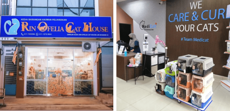 Rin Ofelia Cat House (ROCH) Petshop, Taman Pulai Flora, Skudai