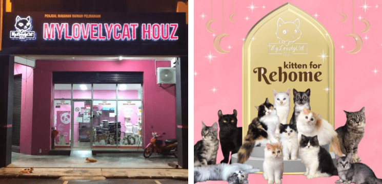 Kedai Kucing Mylovelycat Houz, Taman Sri Pulai Perdana, Johor Bahru