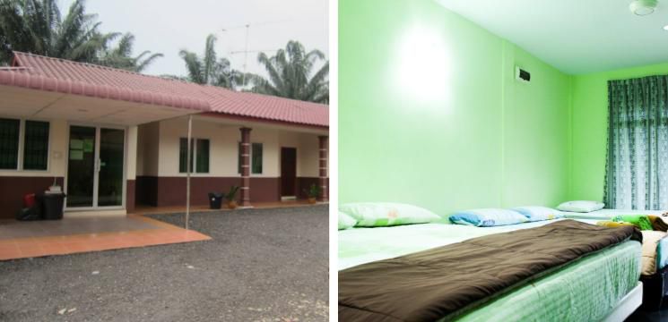 D’Jelutong Homestay, Kampung Parit Jelutong