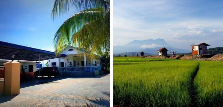 Taun Gusi Village Homestay, Kampung Taun Gusi