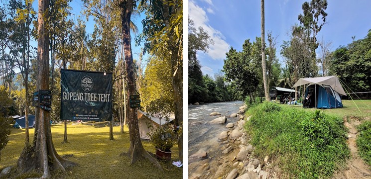 Gopeng Tree Tent