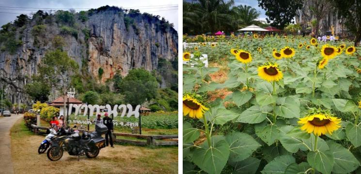 Khao Thanan (Sunflower Garden)