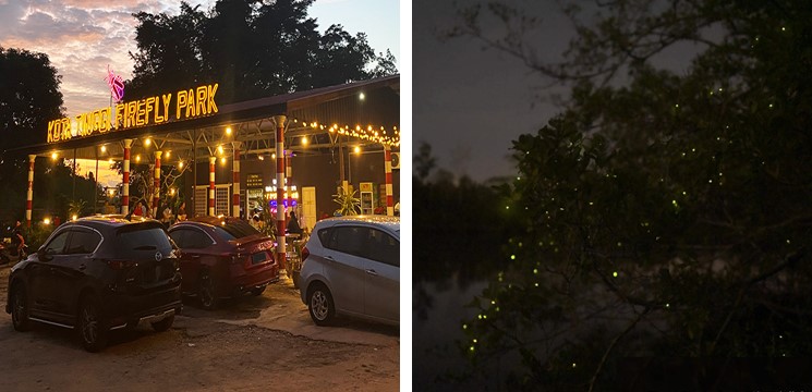 Kota Tinggi Firefly Park