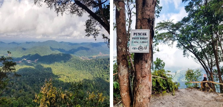 Gunung Panti Recreational Forest