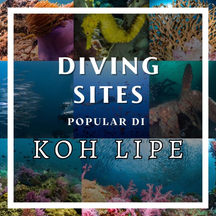 Tempat Diving Popular di Koh Lipe