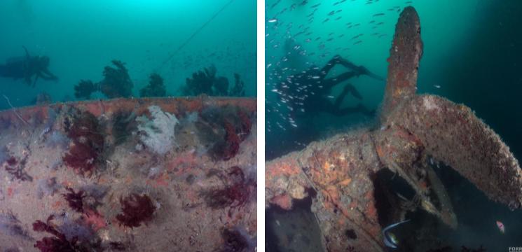 Yong Hua Shipwreck Koh Lipe