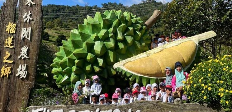 Replika Buah-buahan Tempatan yang Unik