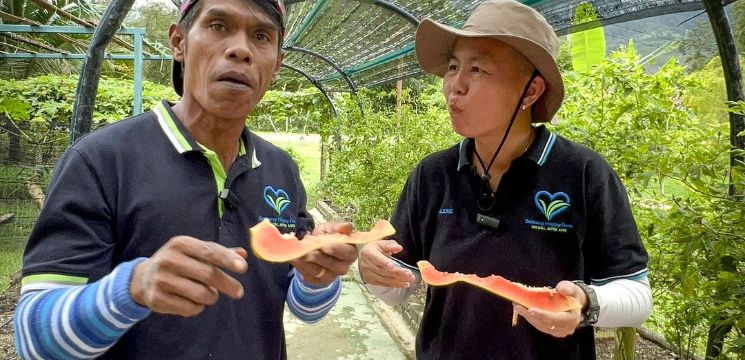 Nikmati keenakan rasa semua buah-buahan dan sayuran segar