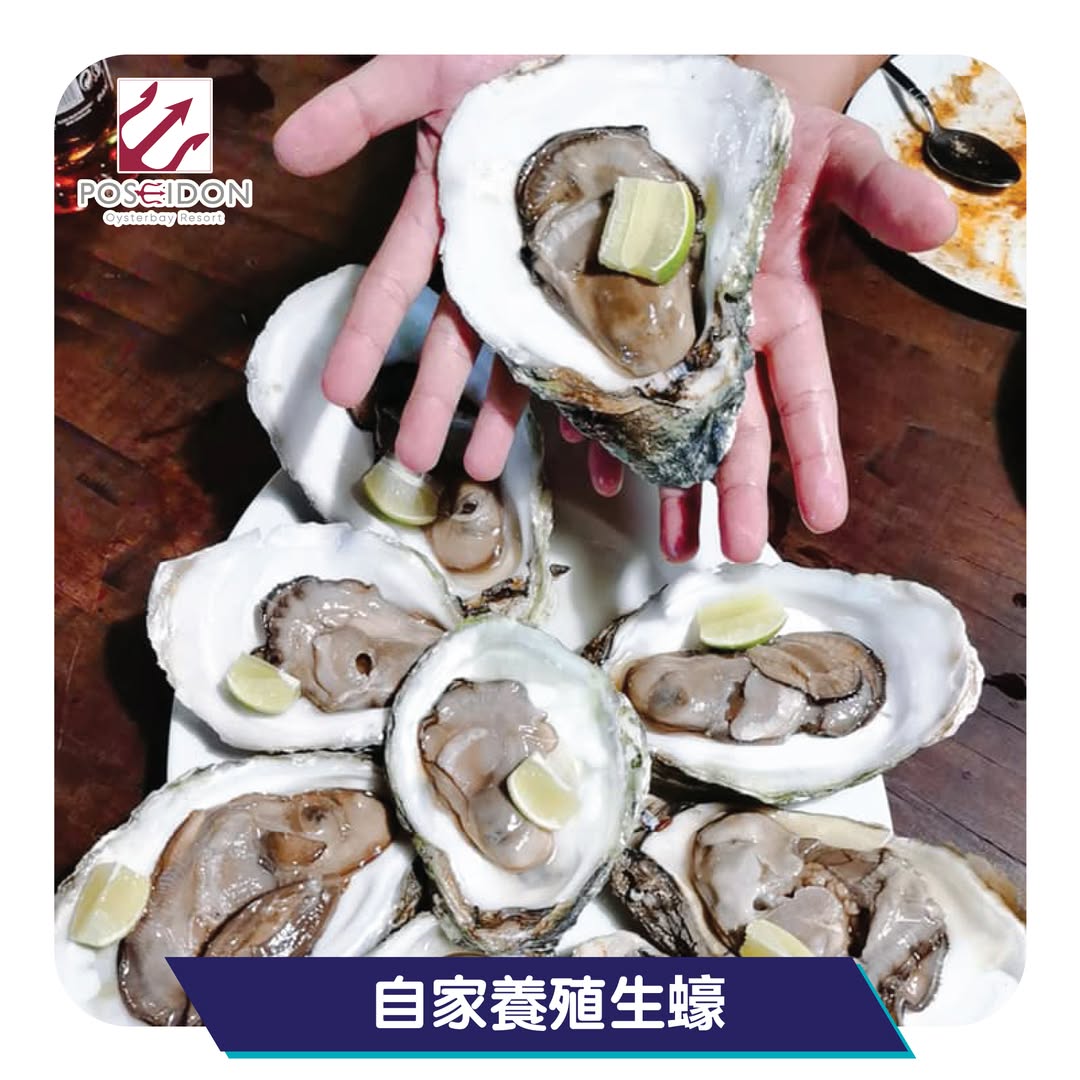 poseidon oysterbay resort