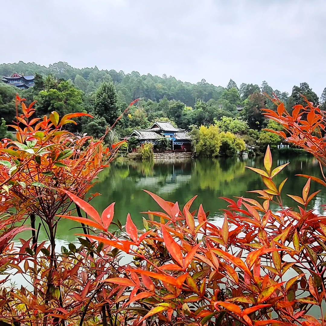 Kolam Naga Hitam (Black Dragon Pool)