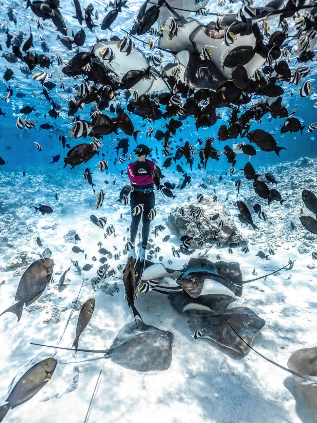 budget honeymoon ke maldives