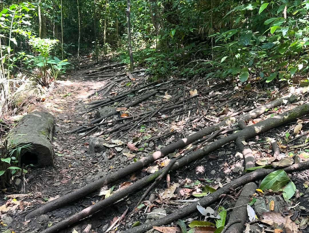 Bohey Dulang Hike Overlook