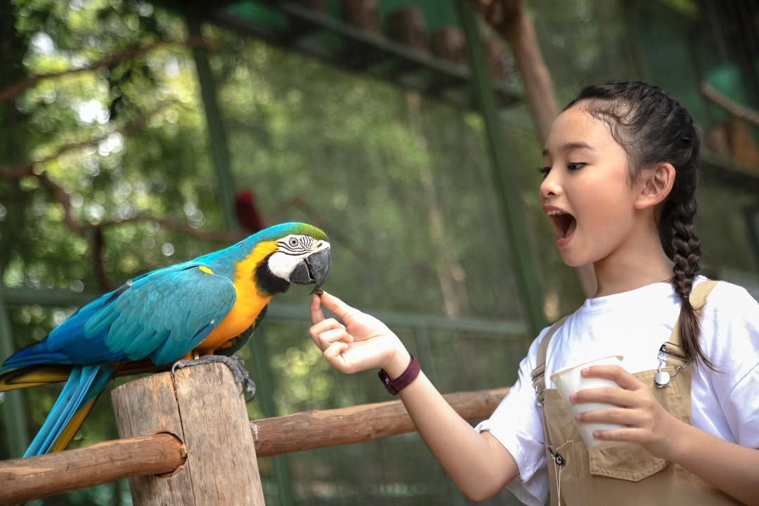 Panbil Nature Reserve