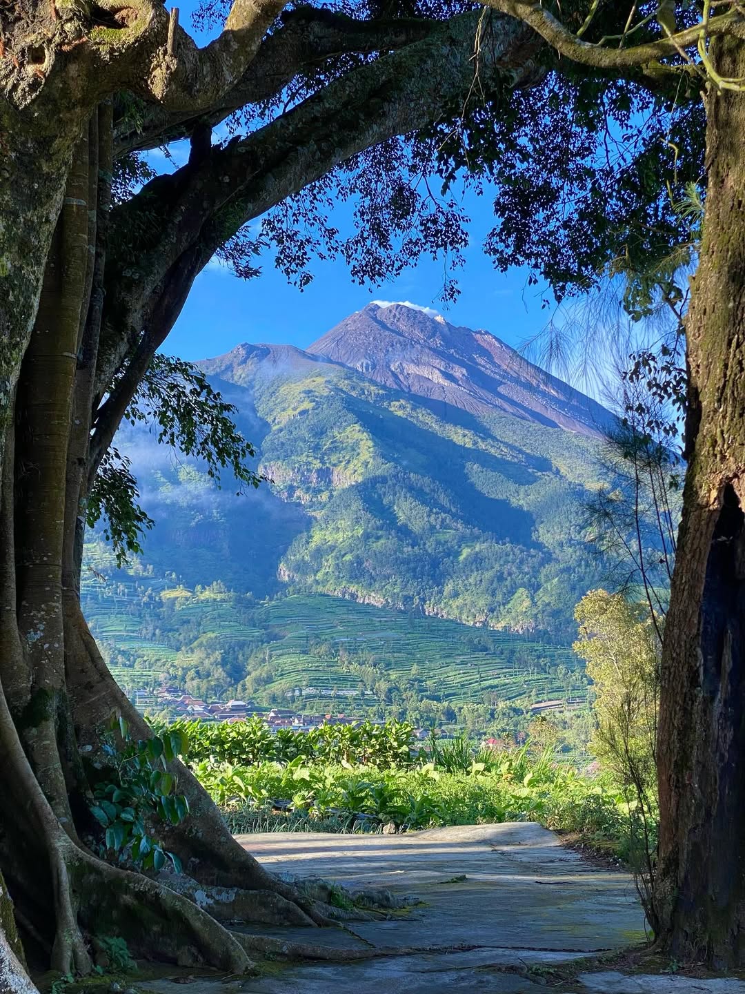 bercuti di yogyakarta