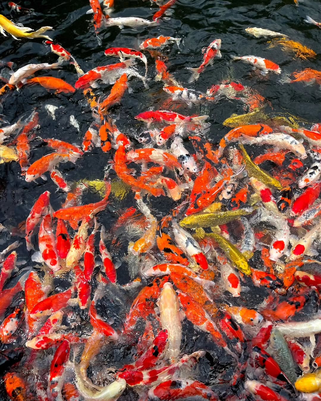 Panbil Nature Reserve