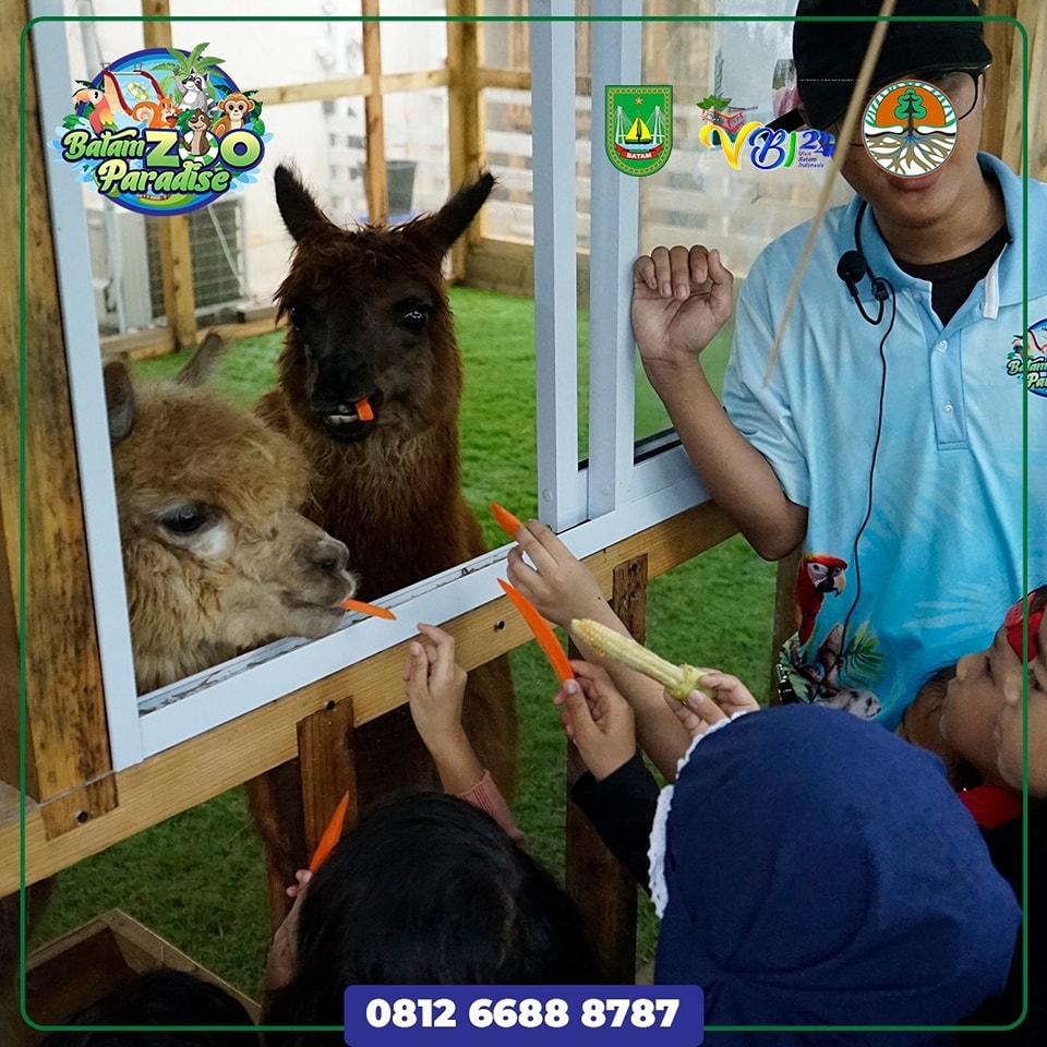 short gateway ke batam