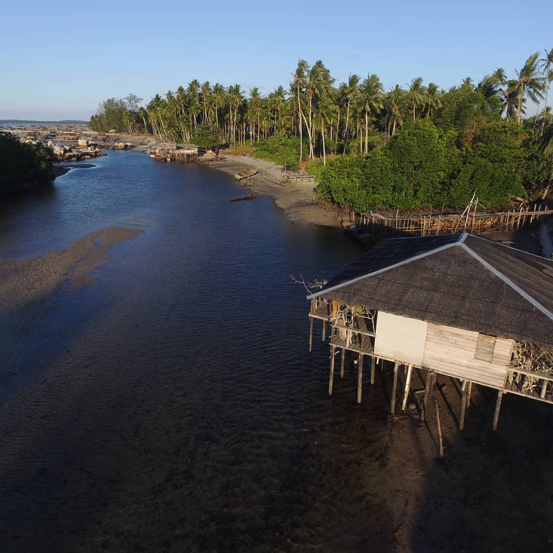 Pengudang Bintan Mangrove