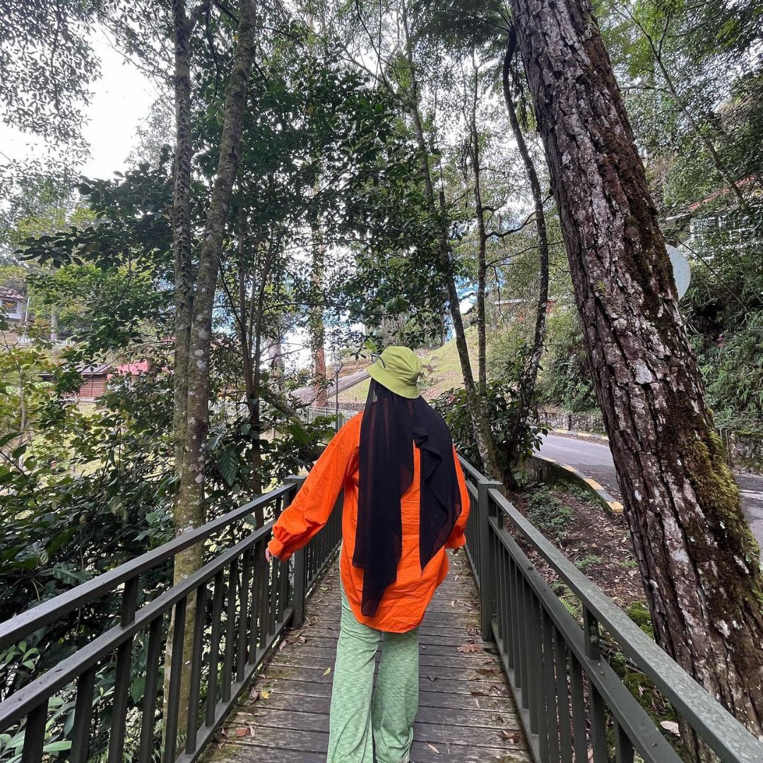 Taman Kinabalu