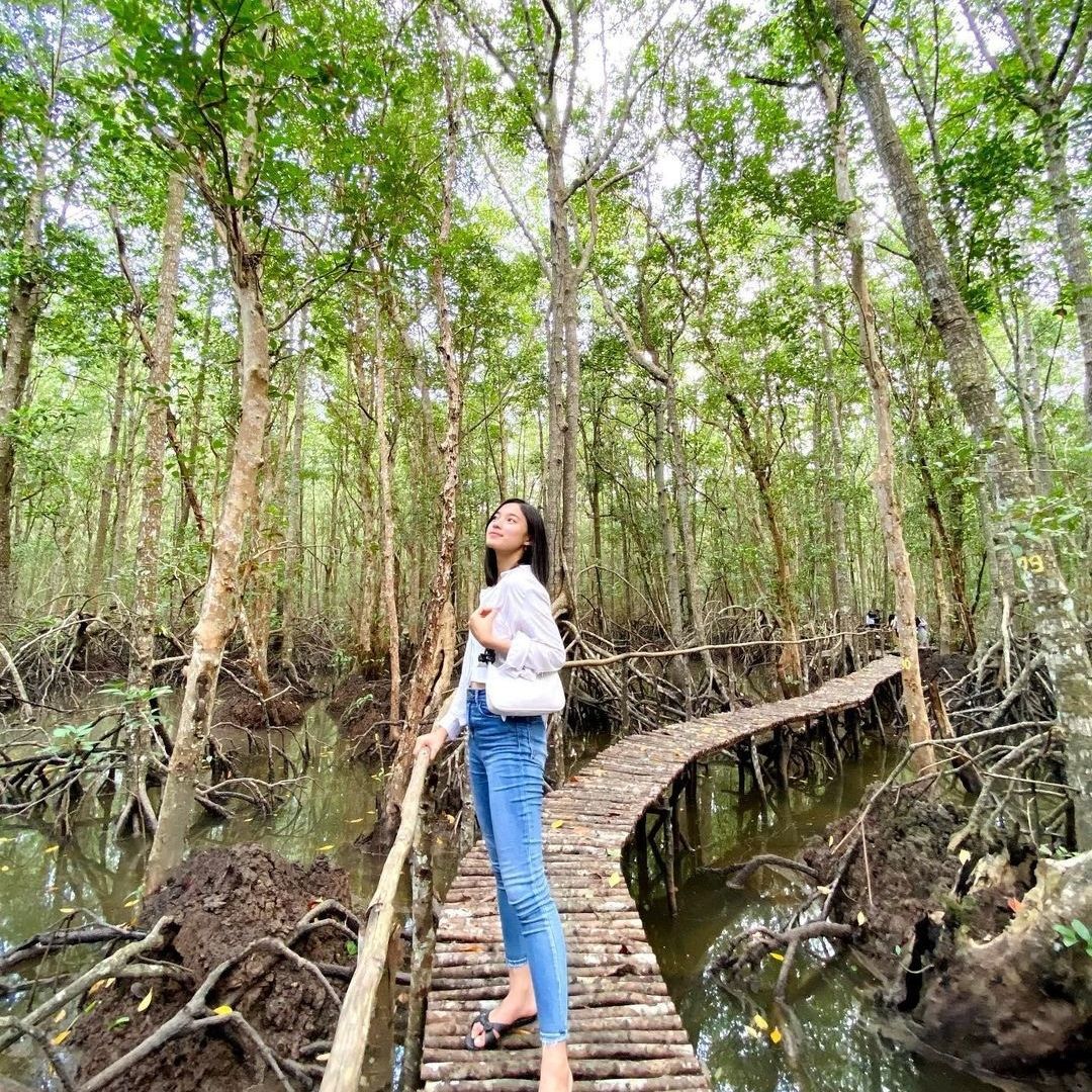 Bintan Fireflies Tour and Mangrove Tour