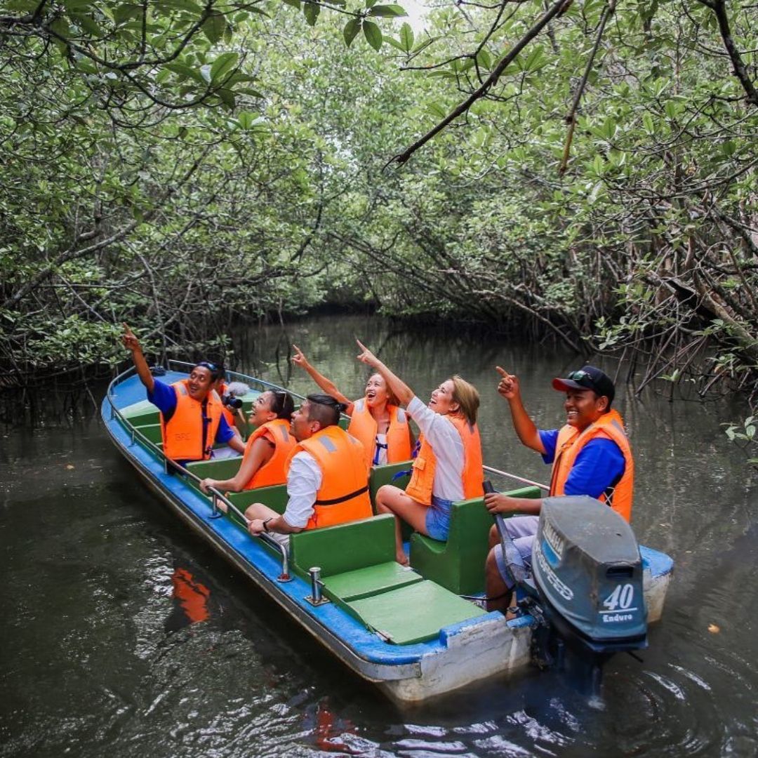 Bintan Fireflies Tour and Mangrove Tour