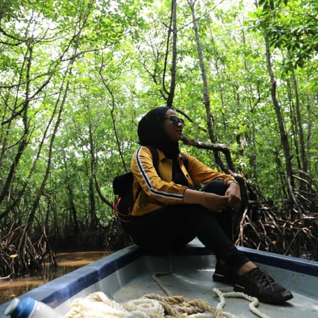 Pengudang Bintan Mangrove