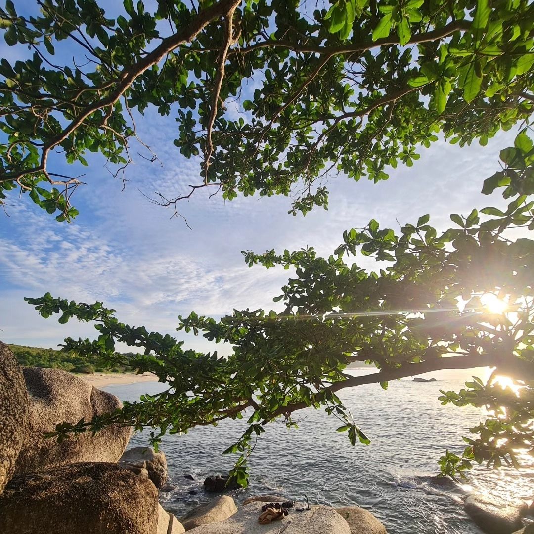 tempat menarik di bintan
