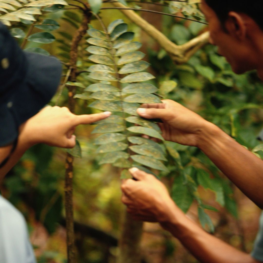 Destinasi Healing Indonesia