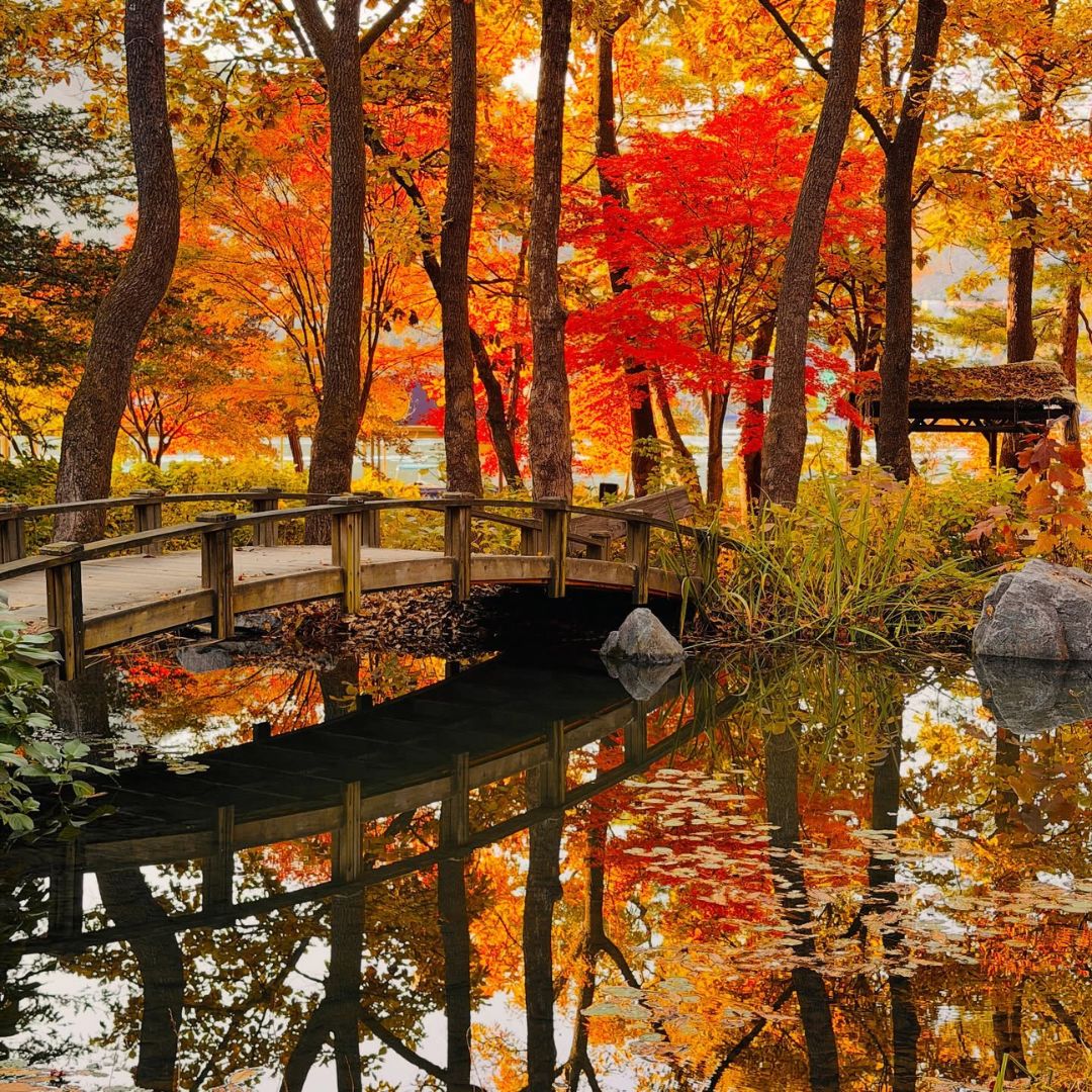 tempat menarik di Seoul