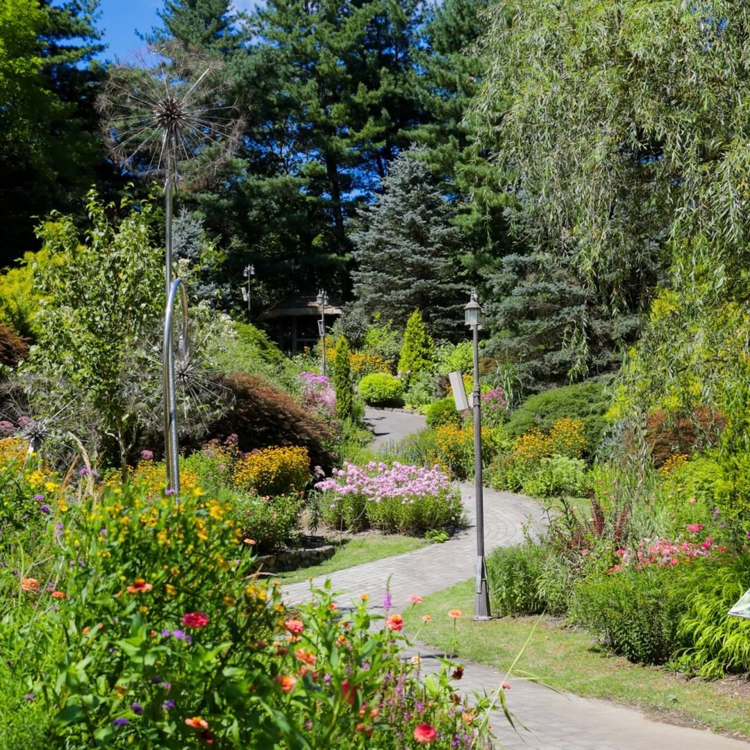 The Garden of Morning Calm