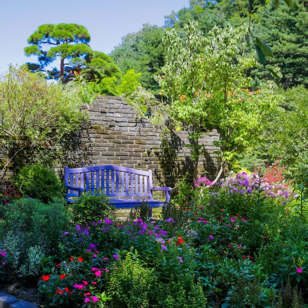 The Garden of Morning Calm