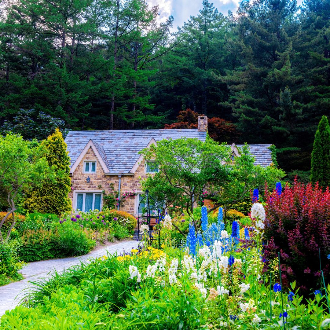 The Garden of Morning Calm