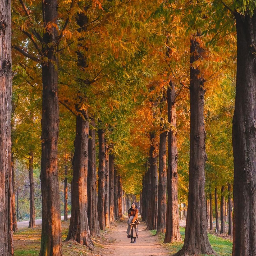 Haneul Park
