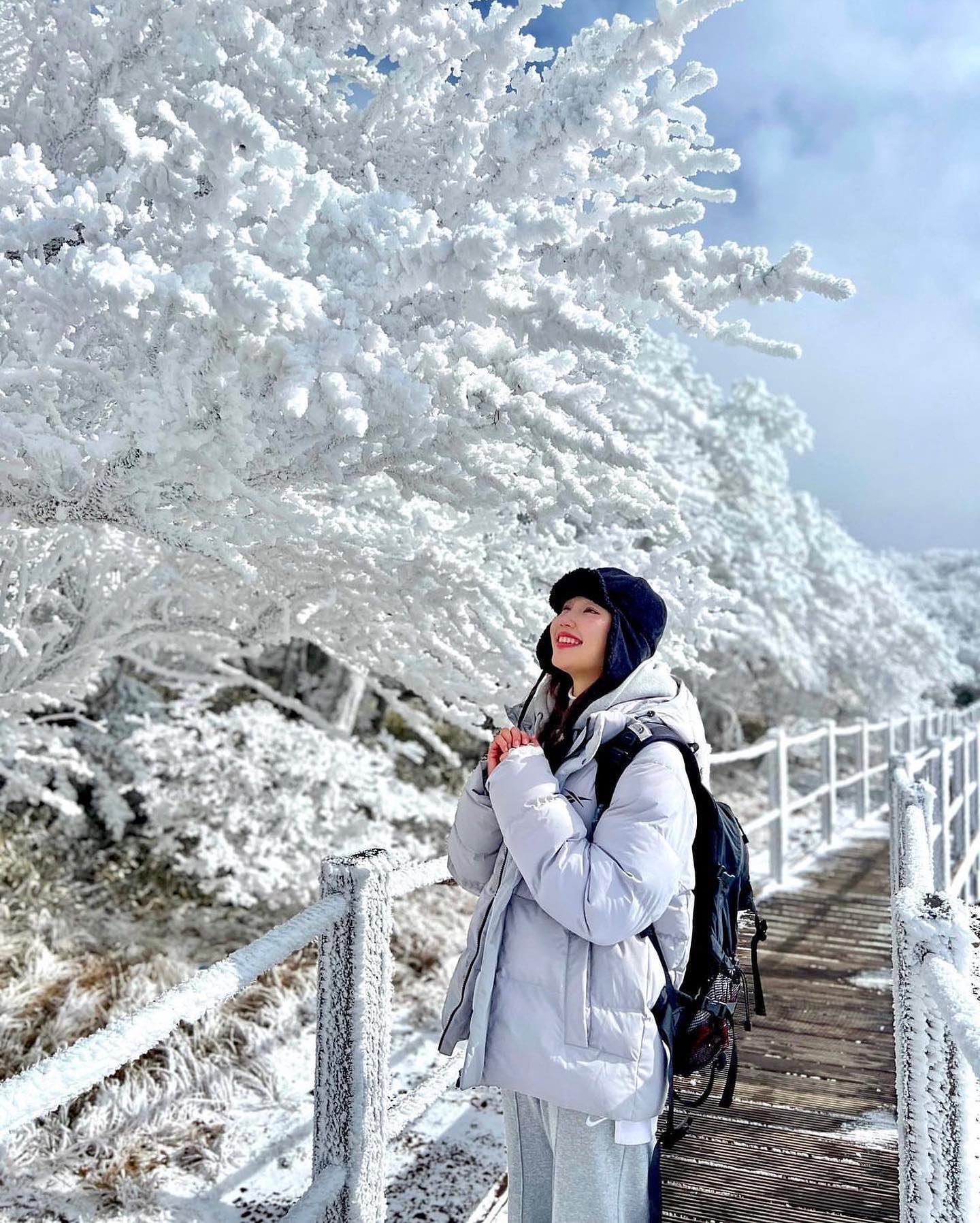 musim sejuk di korea